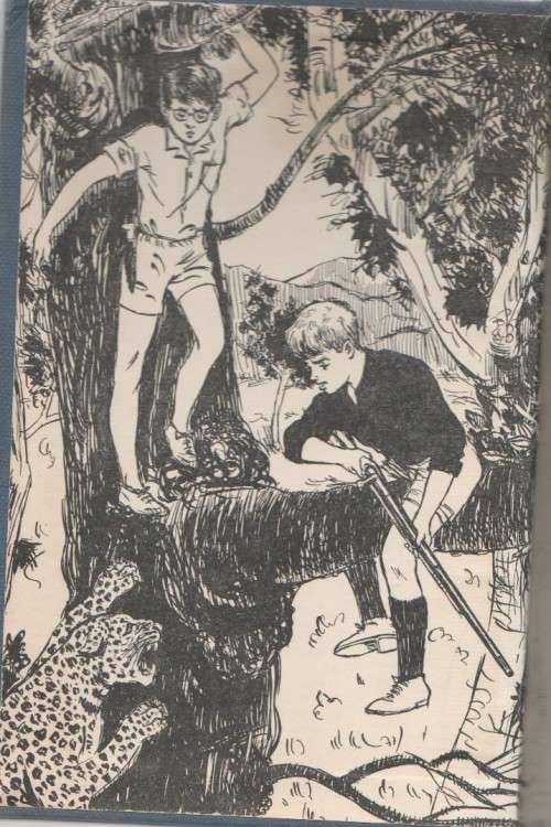 DIE UILE IN DIE WILDTUIN - COR DIRKS (3 DE DRUK 1965)