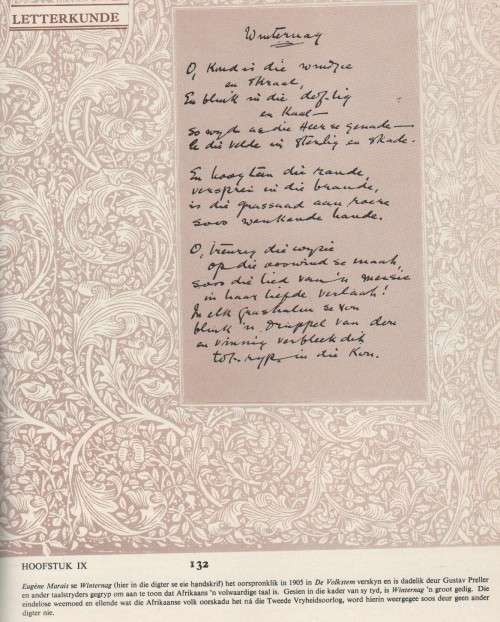 TAAL EN BEELD, DIE GESKIEDENIS V D AFRIKAANSE TAALBEWEGINGS - P J NIENABER (ONGEDATEERD)