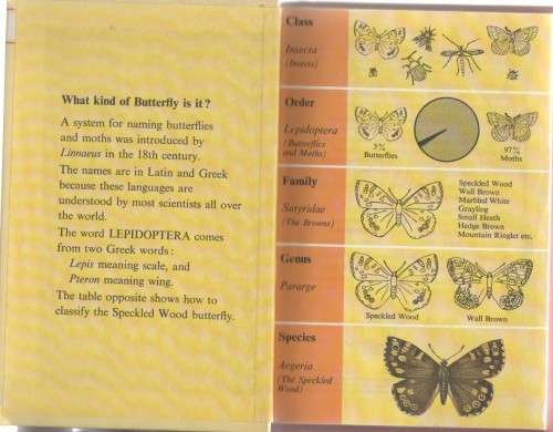 BUTTERFLIES AND MOTHS - LADYBIRD BOOKS (1978)
