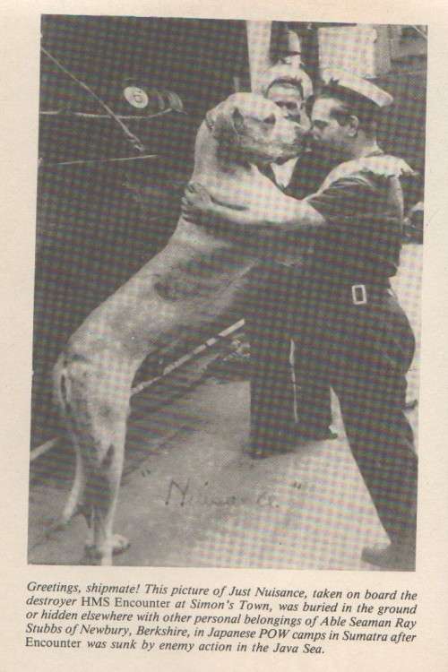 JUST NUISANCE AB, HIS FULL STORY - TERENCE SISSON (1997)