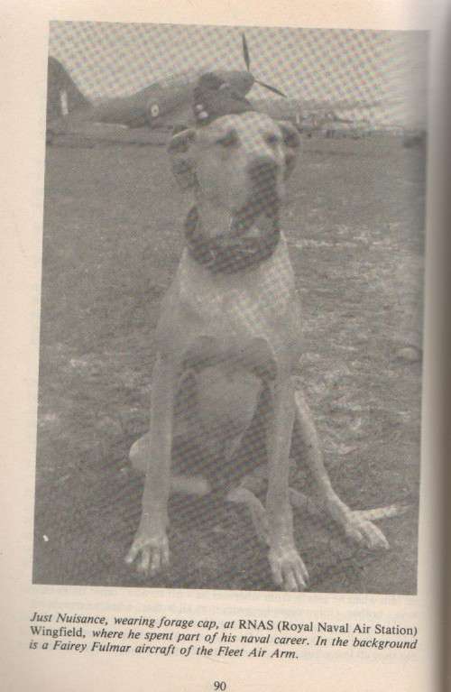 JUST NUISANCE AB, HIS FULL STORY - TERENCE SISSON (1997)