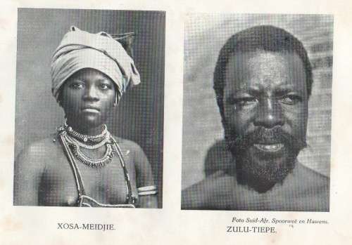 DAGLEMIER IN SUID-AFRIKA - DR GUSTAV S PRELLER - (1937)