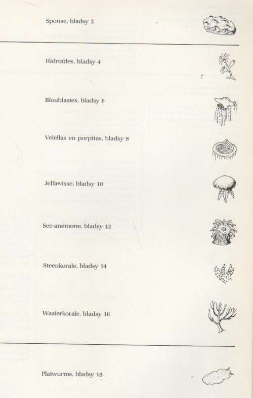 DIE SEELEWE AAN ONS KUS - PAULINE HARDING (1 STE UITGAWE 1987)