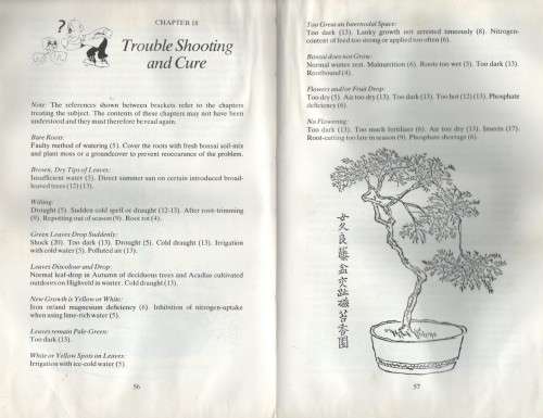 BONSAI FOR EVERYONE - ARSENE C P BULTINCK  (5TH IMPRESSION 1990)