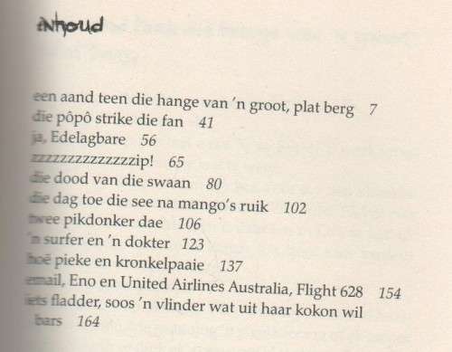 DIE VLINDER EN DIE SURFER - JEANETTE MORTON (2012) JEUGVERHAAL