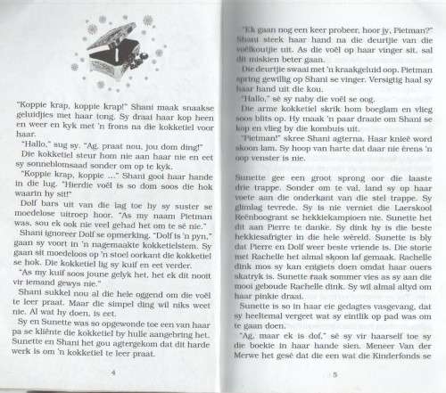 SHANI EN DIE SOKKIE - ANSONETTE KRUGER ( RENBOOGRANT MAATS - 2007)