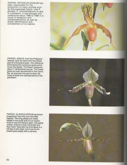 GROWING ORCHIDS, CYMBIDIUMS AND SLIPPERS - J N RENTOUL (1981)