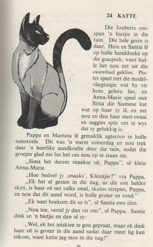 KLAPPERMANNETJIE, STANDERD III - J J VAN ZYL