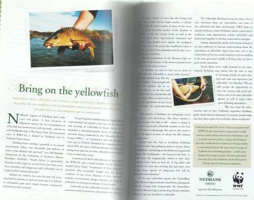 THE NEDBANK GUIDE TO FLYFISHING IN SOUTHERN AFRICA - LOUIS WOLHUTER (4TH EDITION)