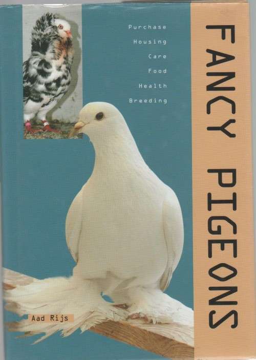 FANCY PIGEONS  - AAD RIJS (2006)
