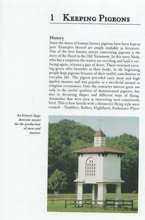 FANCY PIGEONS  - AAD RIJS (2006)