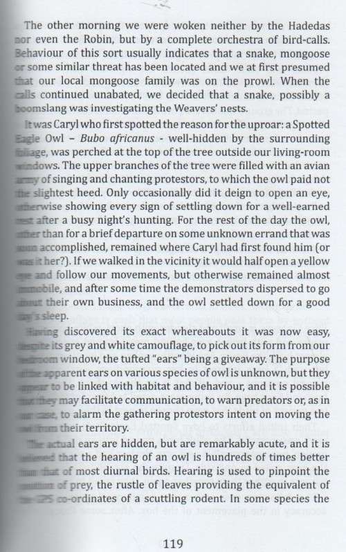 TOASTED MARSHMALLOWS & OBIES - BARTLE LOGIE (2017)