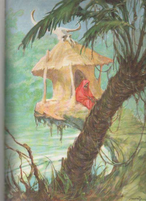 STORIES UIT AFRIKA - FANNY VAN DER MERWE