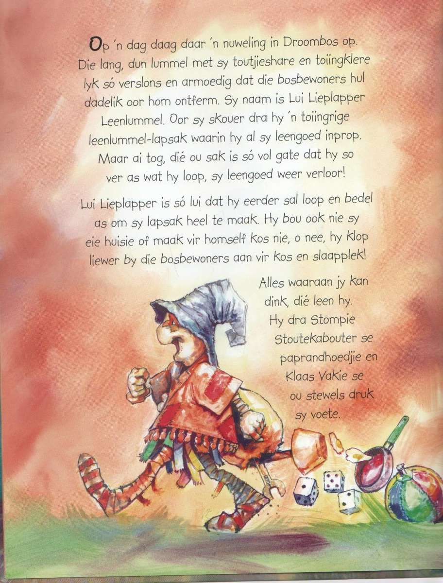 REENBOOGFEETJIE SE ONGELUK - ANNELIZE BESTER (3 DE DRUK 2009)