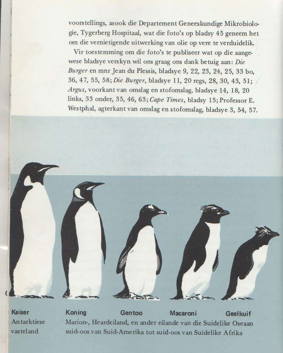 GREGORY, KAAPSE PIKKEWYN - MARIE PHILIP & ADELE NAUDE (1971)