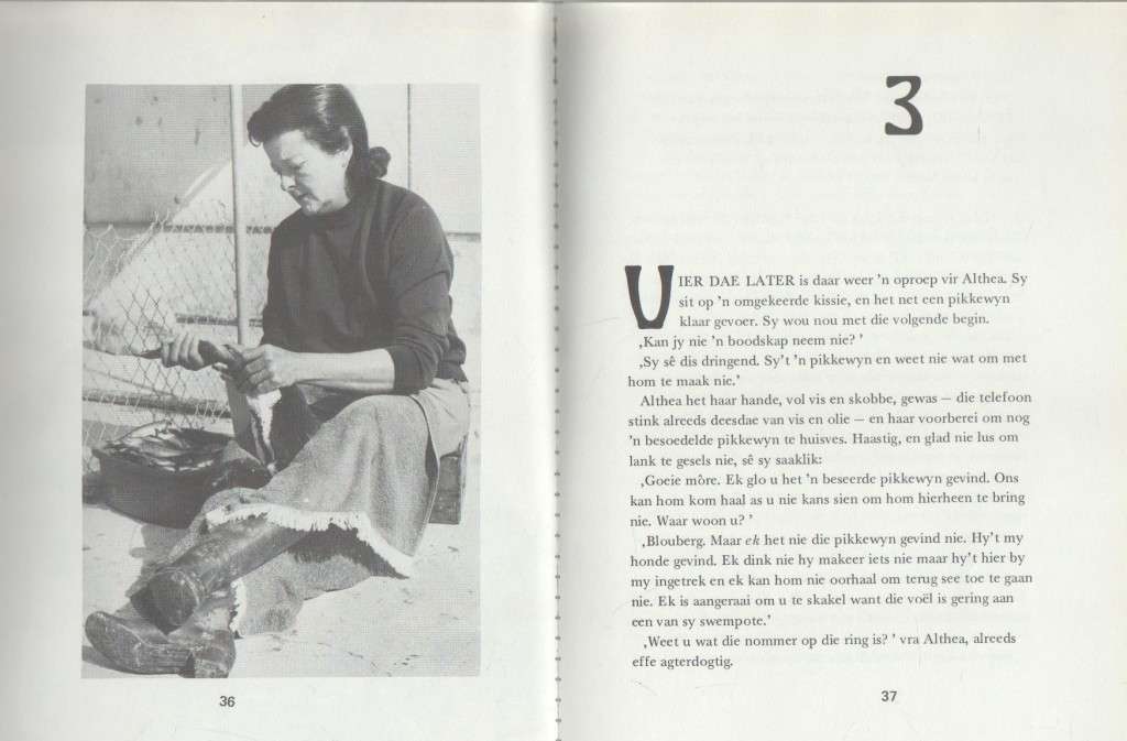 GREGORY, KAAPSE PIKKEWYN - MARIE PHILIP & ADELE NAUDE (1971)