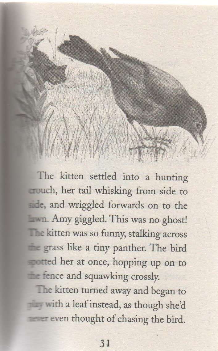 MISTY THE ABANDONED KITTEN - HOLLY WEBB (STRIPES - 2010)