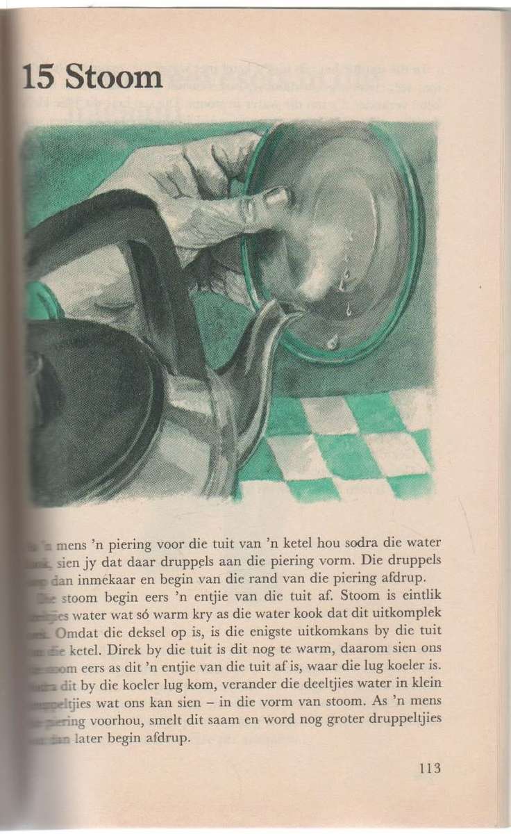 WES VAN DIE MAAN, BOEK 10  - NUWE SILWERBOOM-REEKS - INA WIID