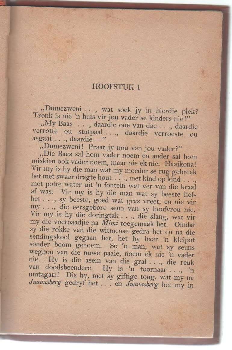 ROOK OP DIE HORISON - P J SCHOEMAN (APB - 1954)