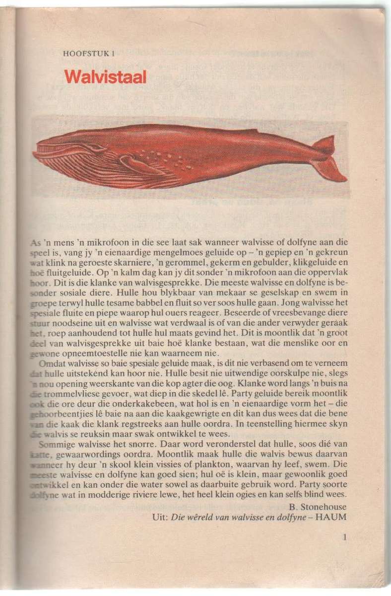 KEURIGE AFRIKAANS, NUWE SILLABUS 1985. STANDERD 5 - KNOETZE & ELS(