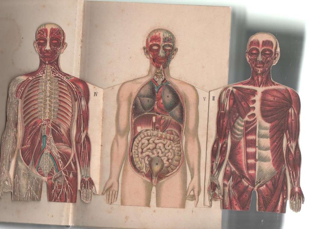 MAN THE MASTERPIECE, ABOUT BOYHOOD, YOUTH AND MANHOOD - J H KELLOGG MD (1903)