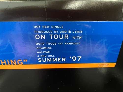 Mary J Blige / Everything (Remixes) 2xLP