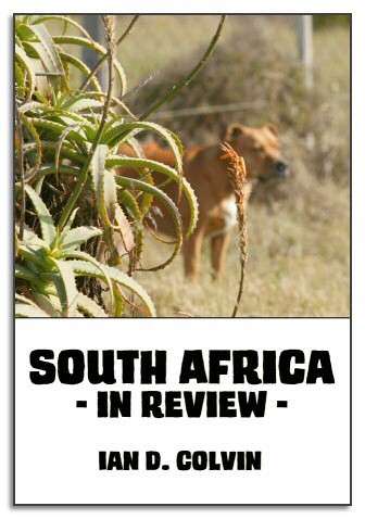 South Africa in Review