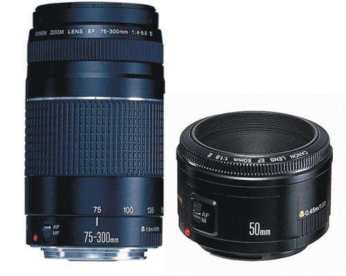 Canon 75-300mm Zoom Lens + Canon 50mm F1.8 Lens