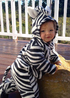 Cute Zebra Onesie Play Suit! Dress Up, Play, Or Sleep Wear 6 - 12 Months