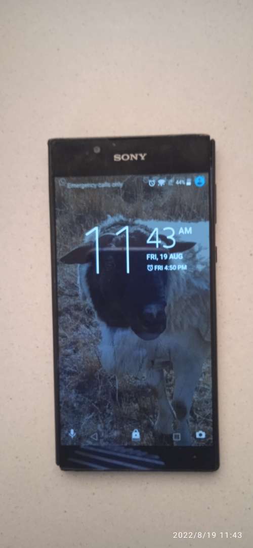 Sony Xperia L1