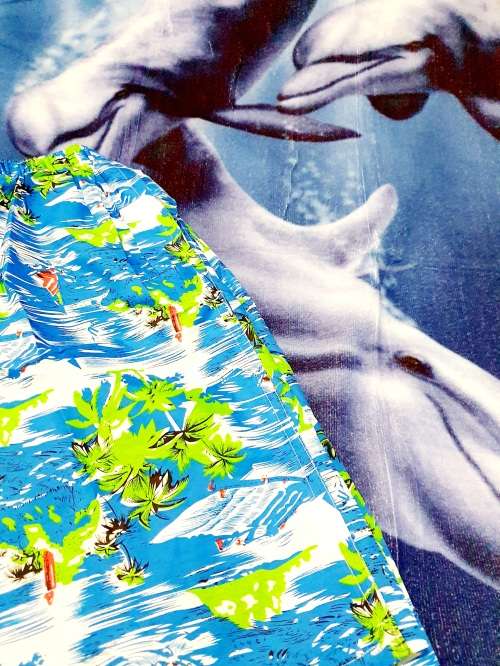 Surfin with Dolphins BEACH Kit (Size M-L)