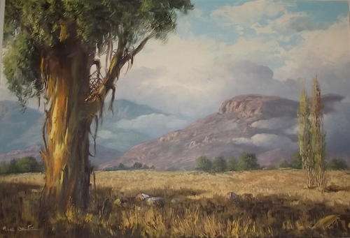 Original Michael Albertyn snr - Oil on canvas stretched on board - Landscape - Cape near Ceres