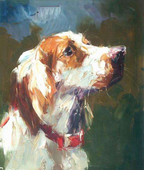 Original Oil painting on canvas 50x60cm: "Sam" by O Wanzen