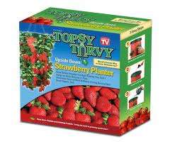 Topsy Turvy- Strawberry planter, grow your own simply...
