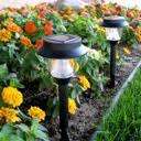 Solar garden light, Chargers it's self during the day, and turns on automatically at night...