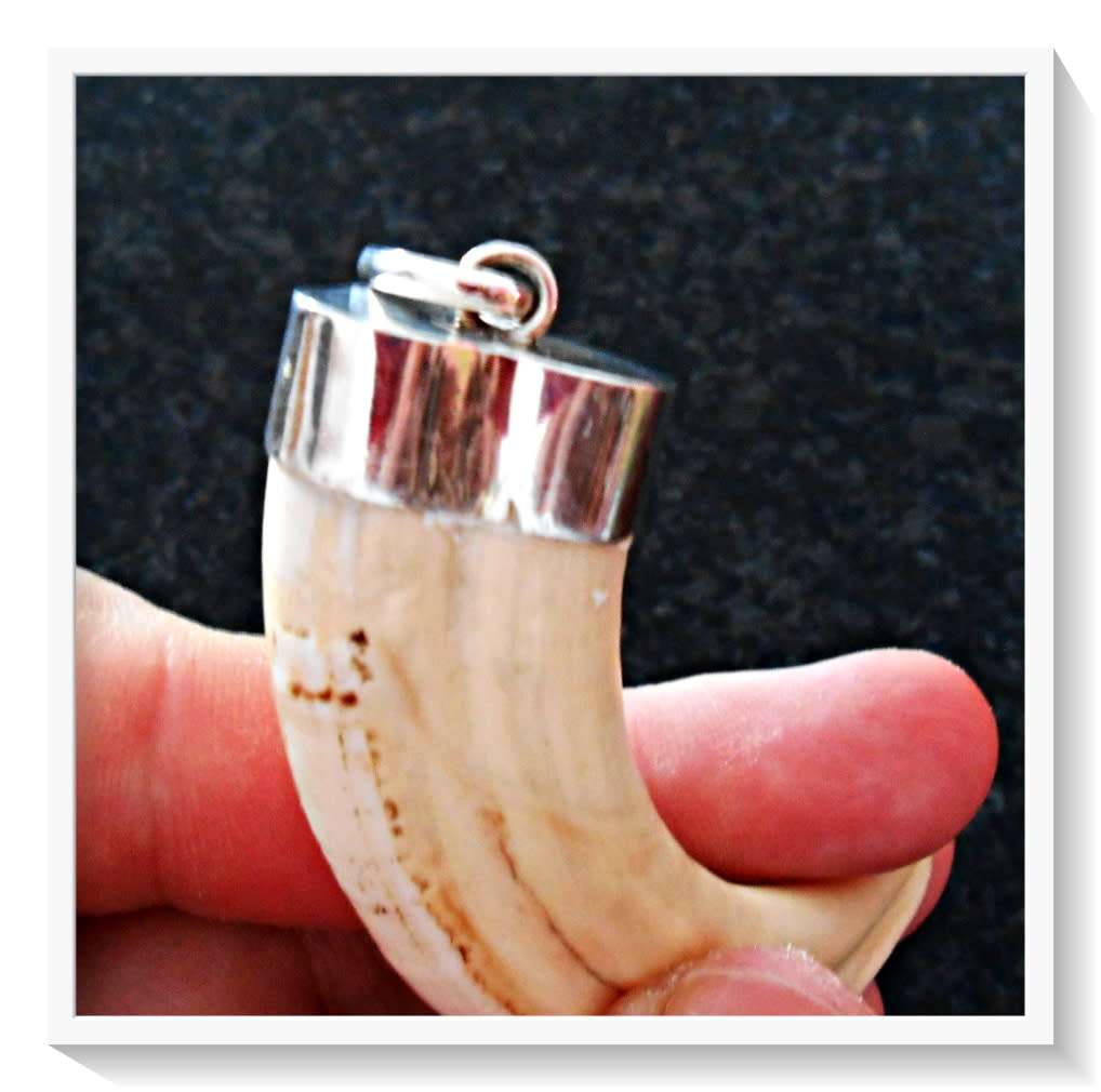 Absolutely Unique and Stunning Real 925 Silver Capped Warthog Tusk Pendant - Very Collectible*****