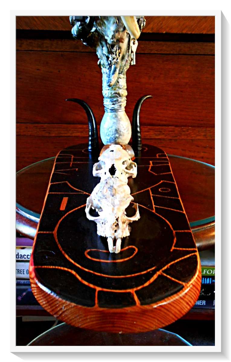 Pistolero Dentata by Artist Ras Steyn [MFA] - Organic Wood/Resin/Dentine/Bone & Skull Sculpture*****