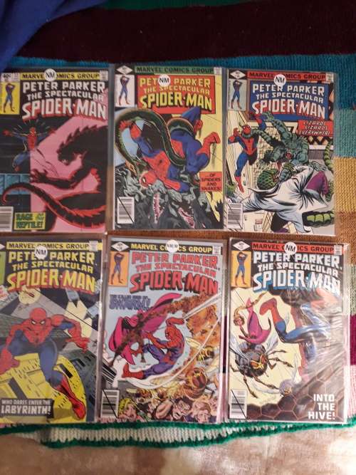 Peter Parker Spectacular Spider Man