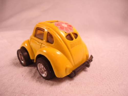 Unknown # 316 -  Volkswagen Beetle - Flowera