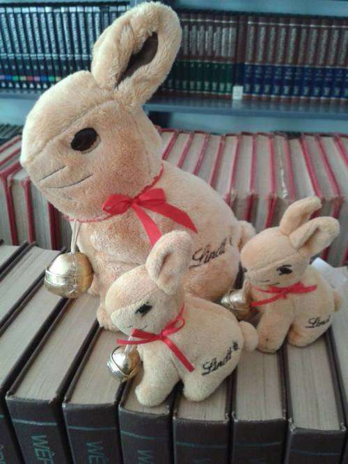 Plush Lindt Choc Bunny - Small
