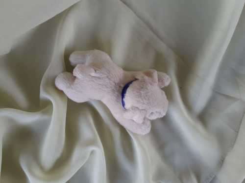 Plush Puppy Lying on Stomach