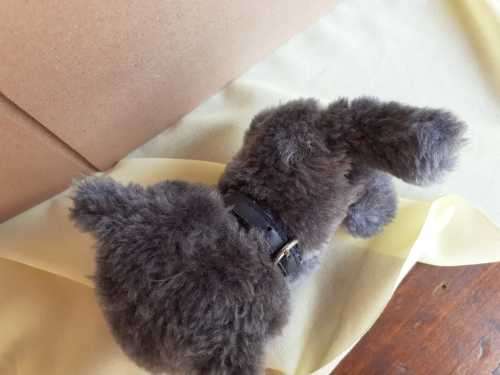 Plush The Cat Artlist Collection - Russian Blue