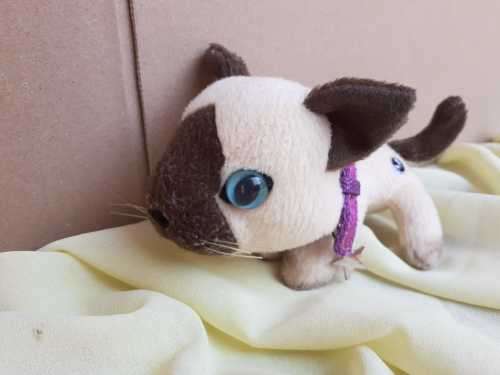 Plush The Cat Artlist Collection - Siamese