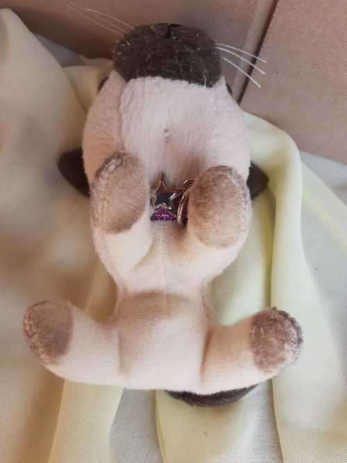 Plush The Cat Artlist Collection - Siamese