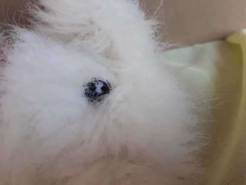 Plush The Cat Artlist Collection - White Persian