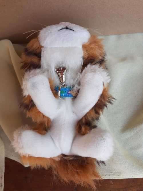 Plush The Cat Artlist Collection - Maine Coon