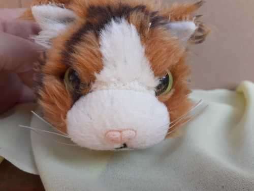 Plush The Cat Artlist Collection - Maine Coon