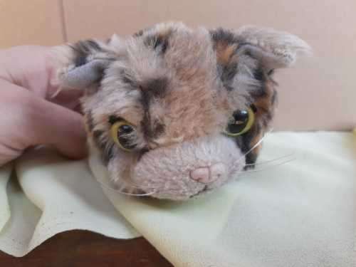 Plush The Cat Artlist Collection - Bengal