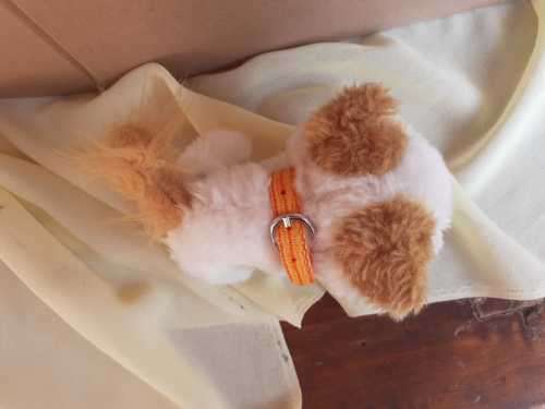 Plush The Cat Artlist Collection - White, Orange