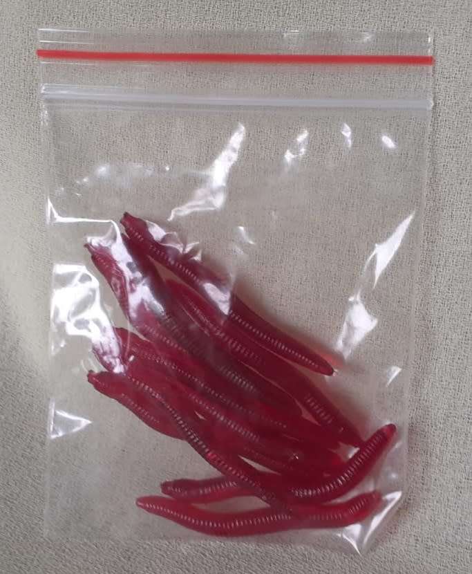 Soft Plastic Fishing Lures 10pc Red Worms